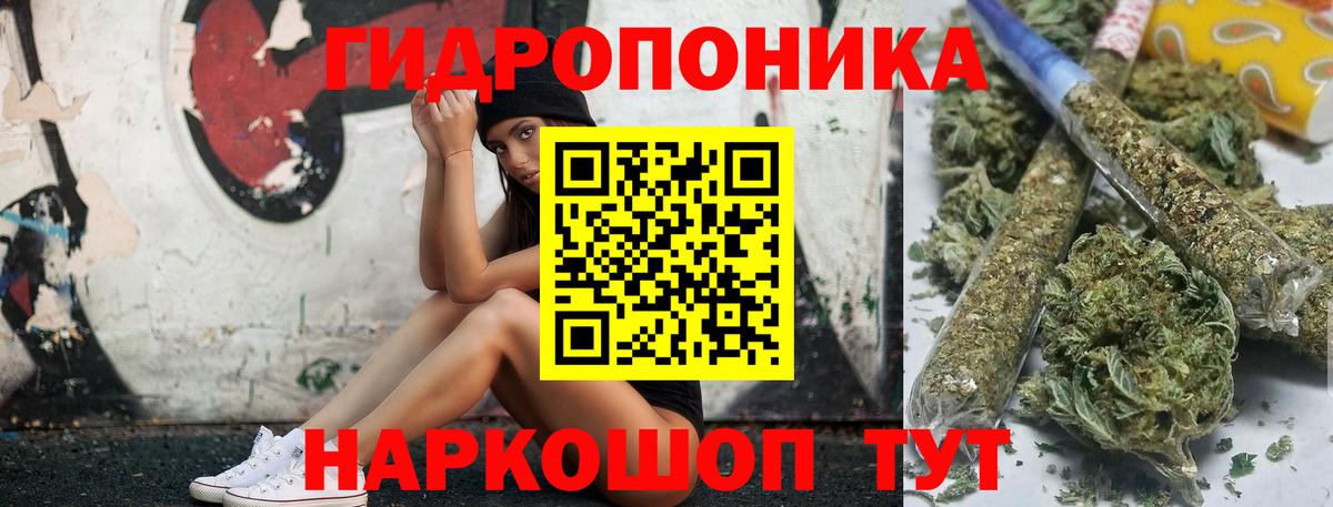Каннабис гибрид Михайловка